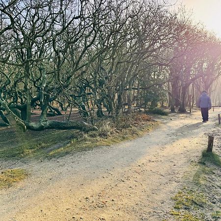 Beach & Forest Retreat -Domburg- Oostkapelle Luaran gambar