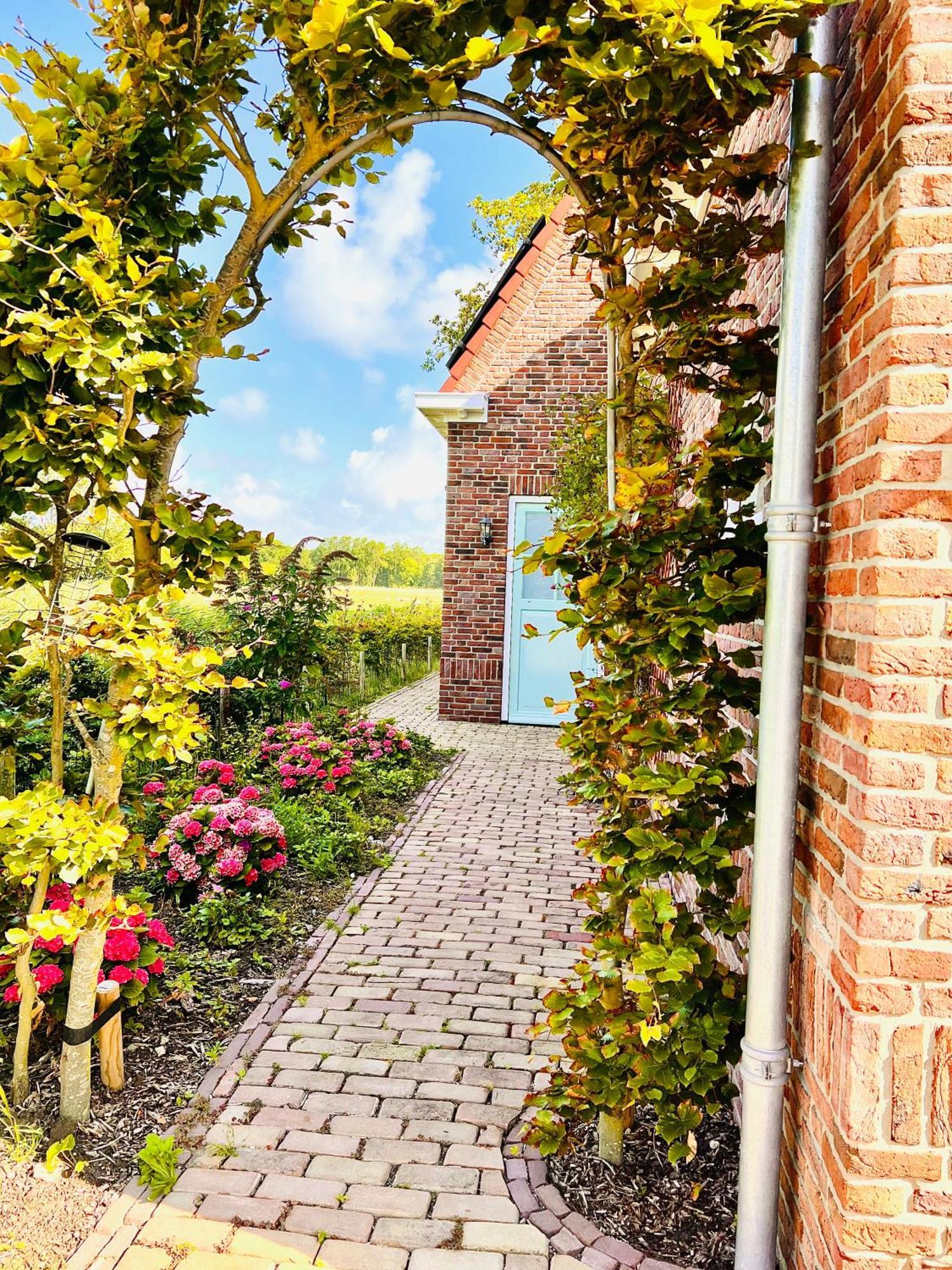Beach & Forest Retreat -Domburg- Oostkapelle Luaran gambar