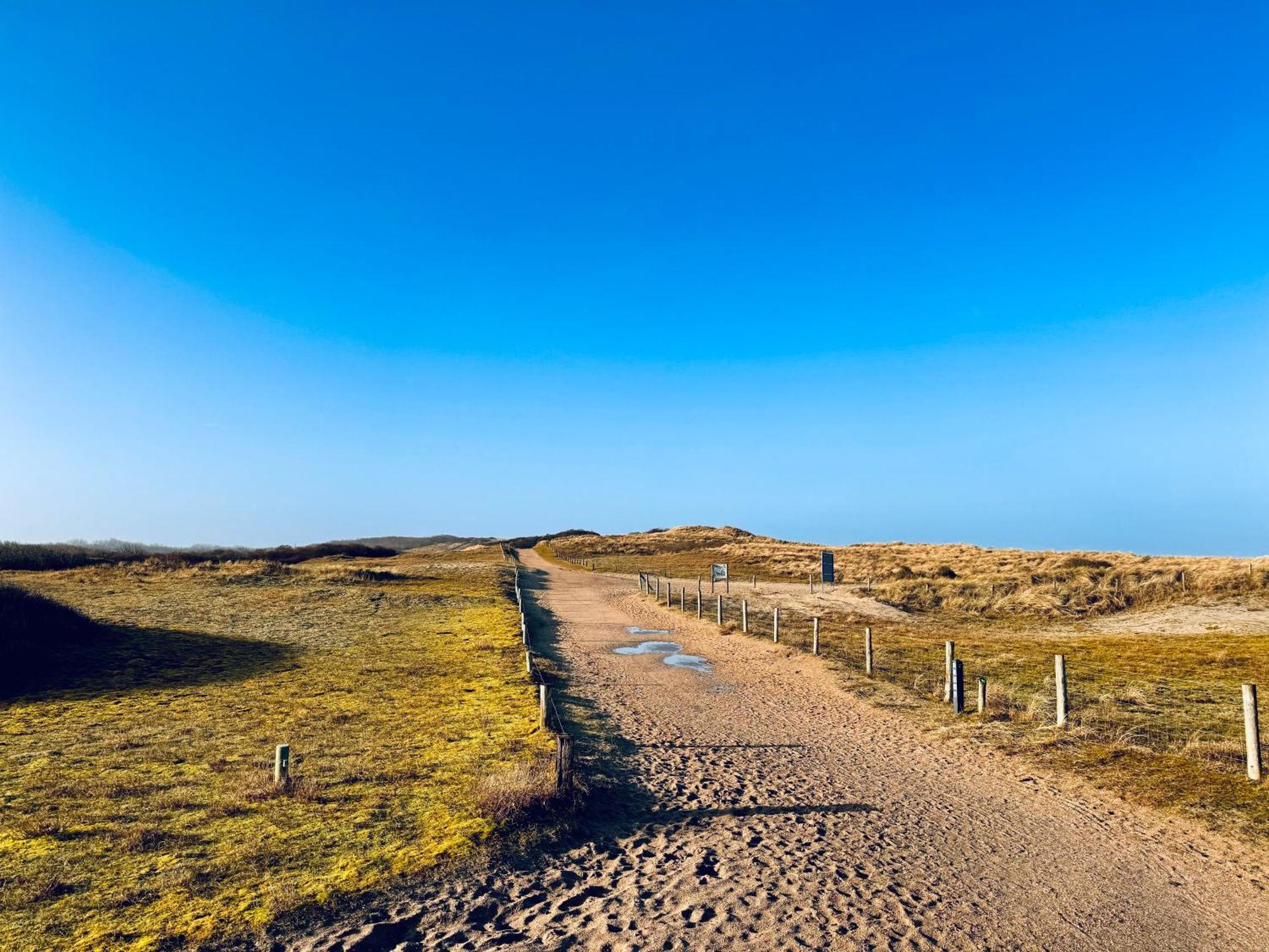 Beach & Forest Retreat -Domburg- Oostkapelle Luaran gambar