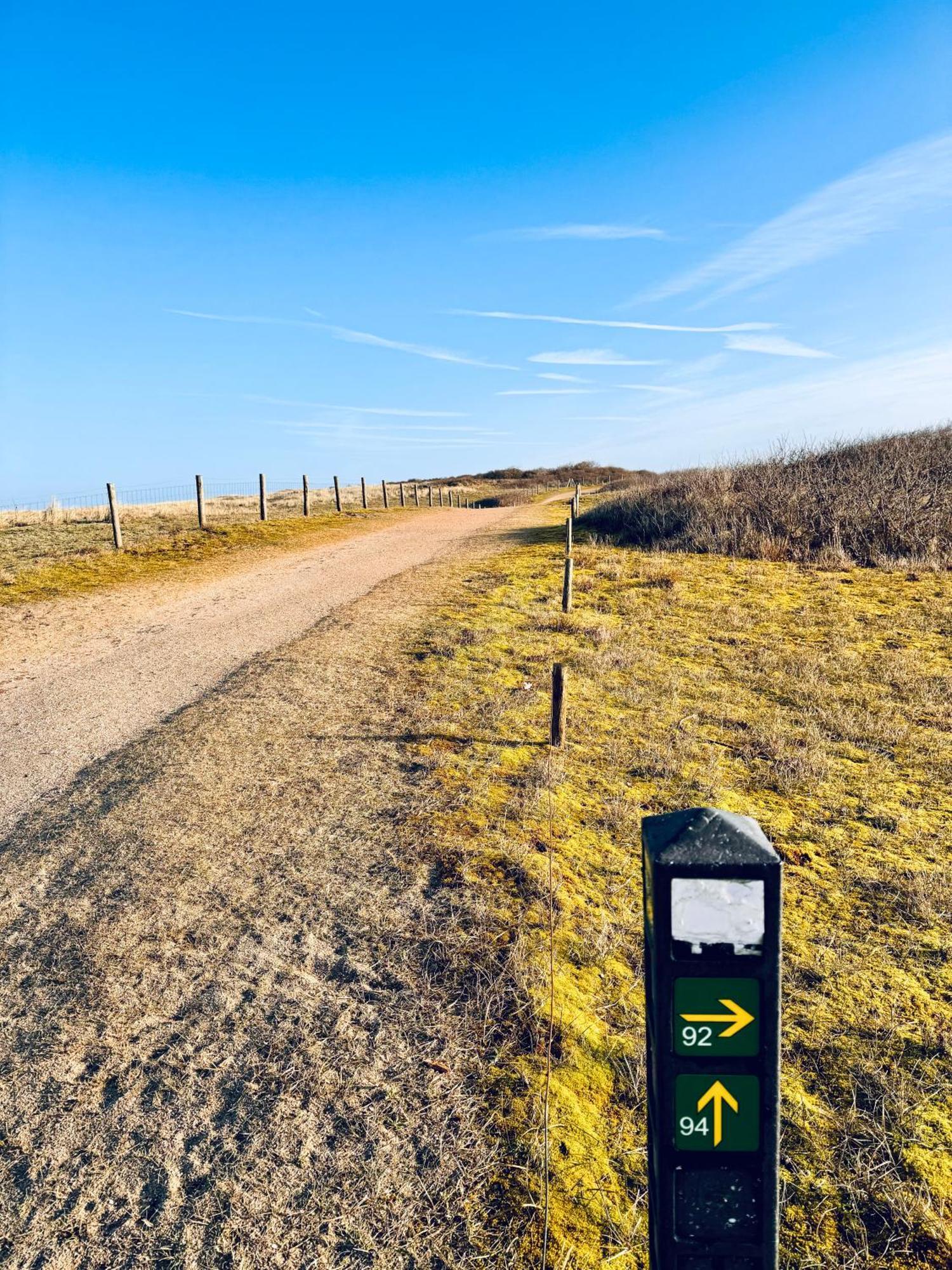 Beach & Forest Retreat -Domburg- Oostkapelle Luaran gambar