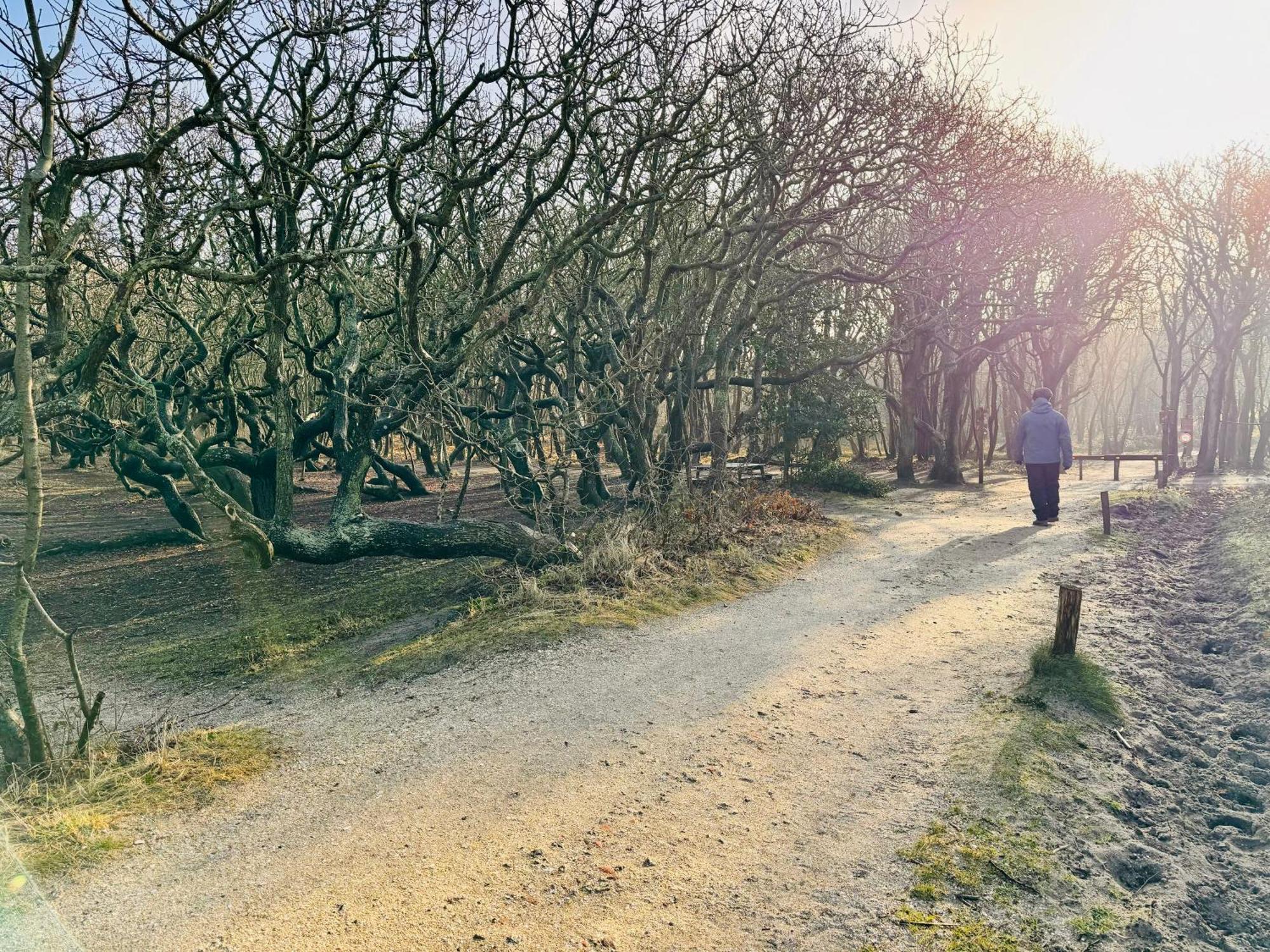 Beach & Forest Retreat -Domburg- Oostkapelle Luaran gambar