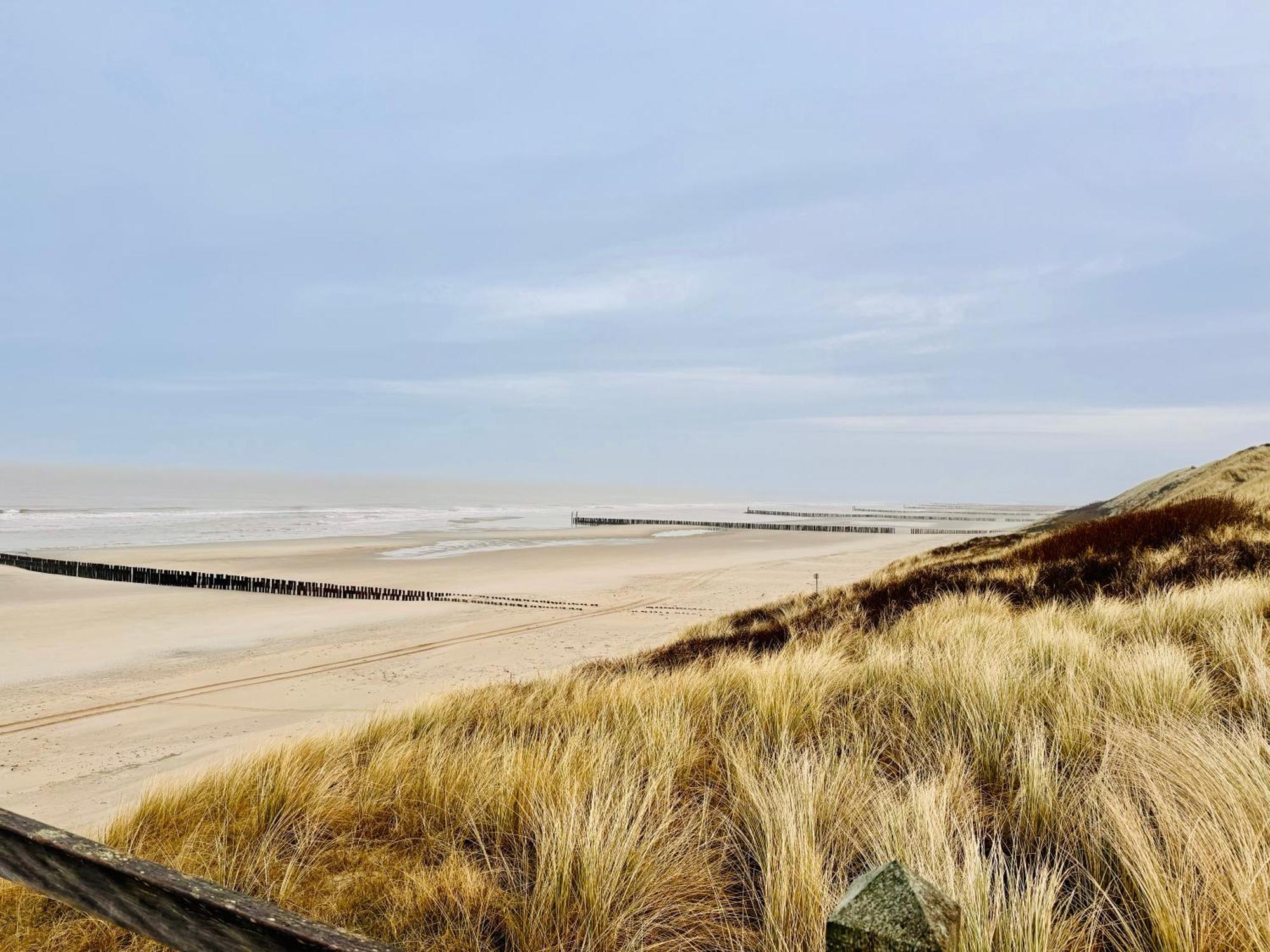 Beach & Forest Retreat -Domburg- Oostkapelle Luaran gambar