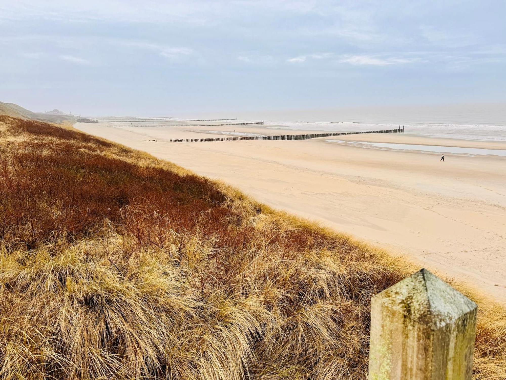 Beach & Forest Retreat -Domburg- Oostkapelle Luaran gambar