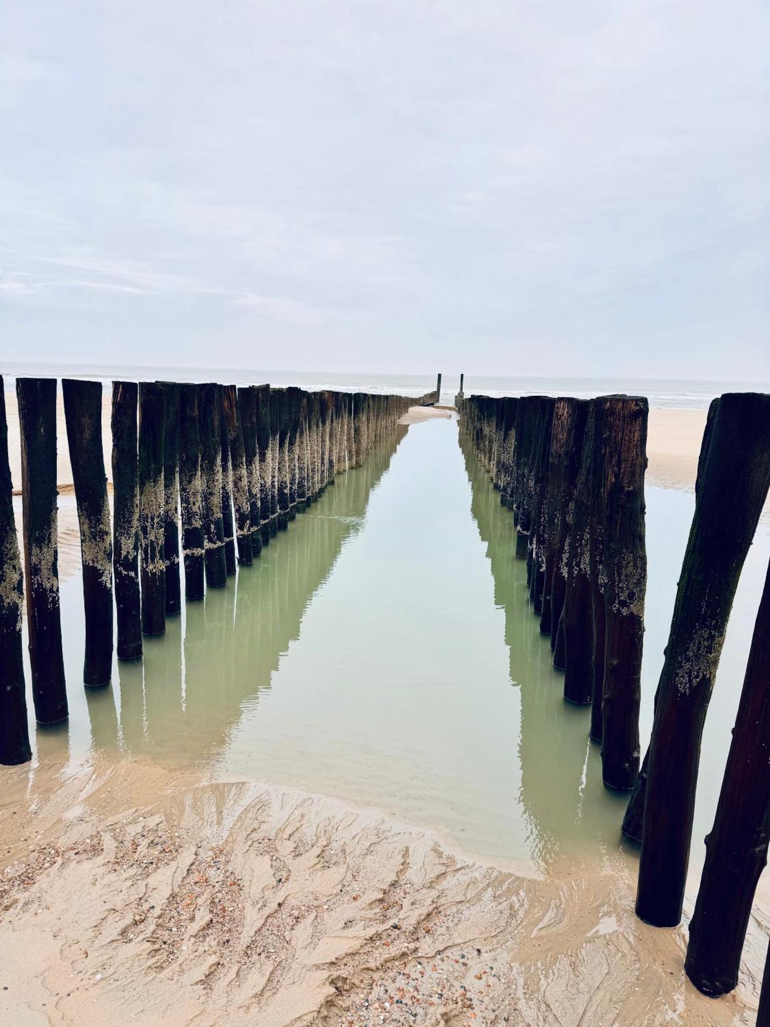 Beach & Forest Retreat -Domburg- Oostkapelle Luaran gambar