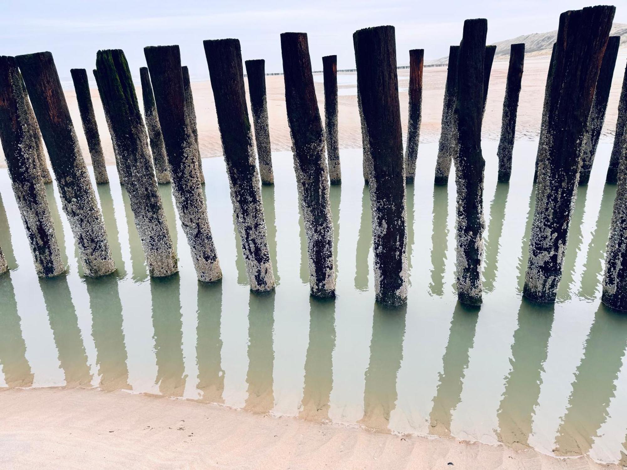 Beach & Forest Retreat -Domburg- Oostkapelle Luaran gambar