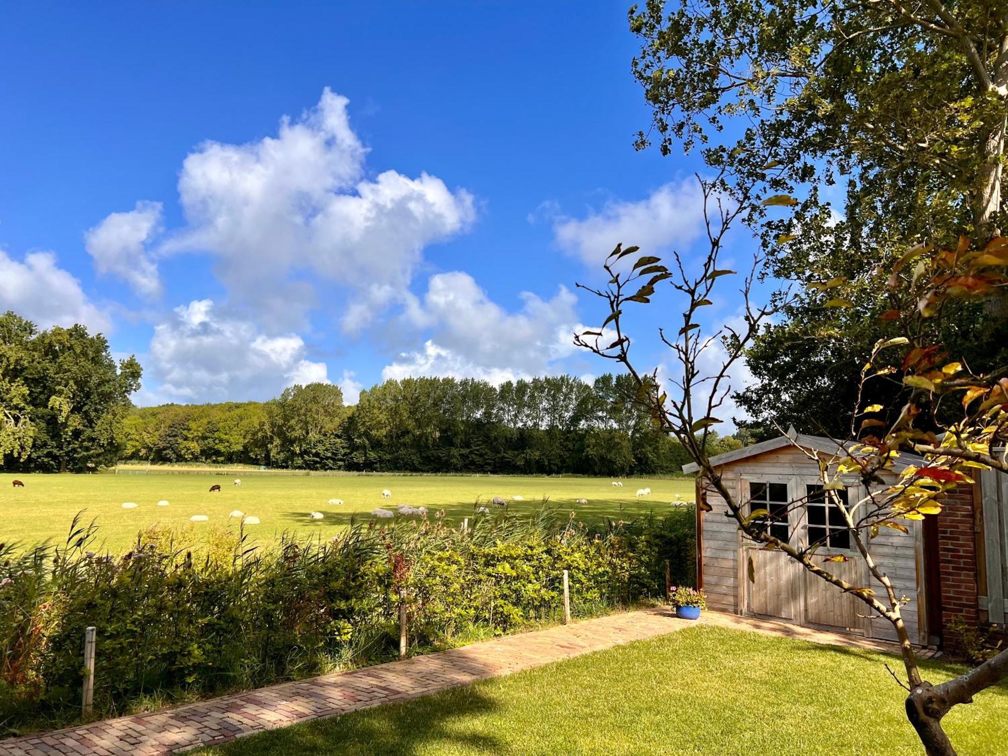 Beach & Forest Retreat -Domburg- Oostkapelle Luaran gambar