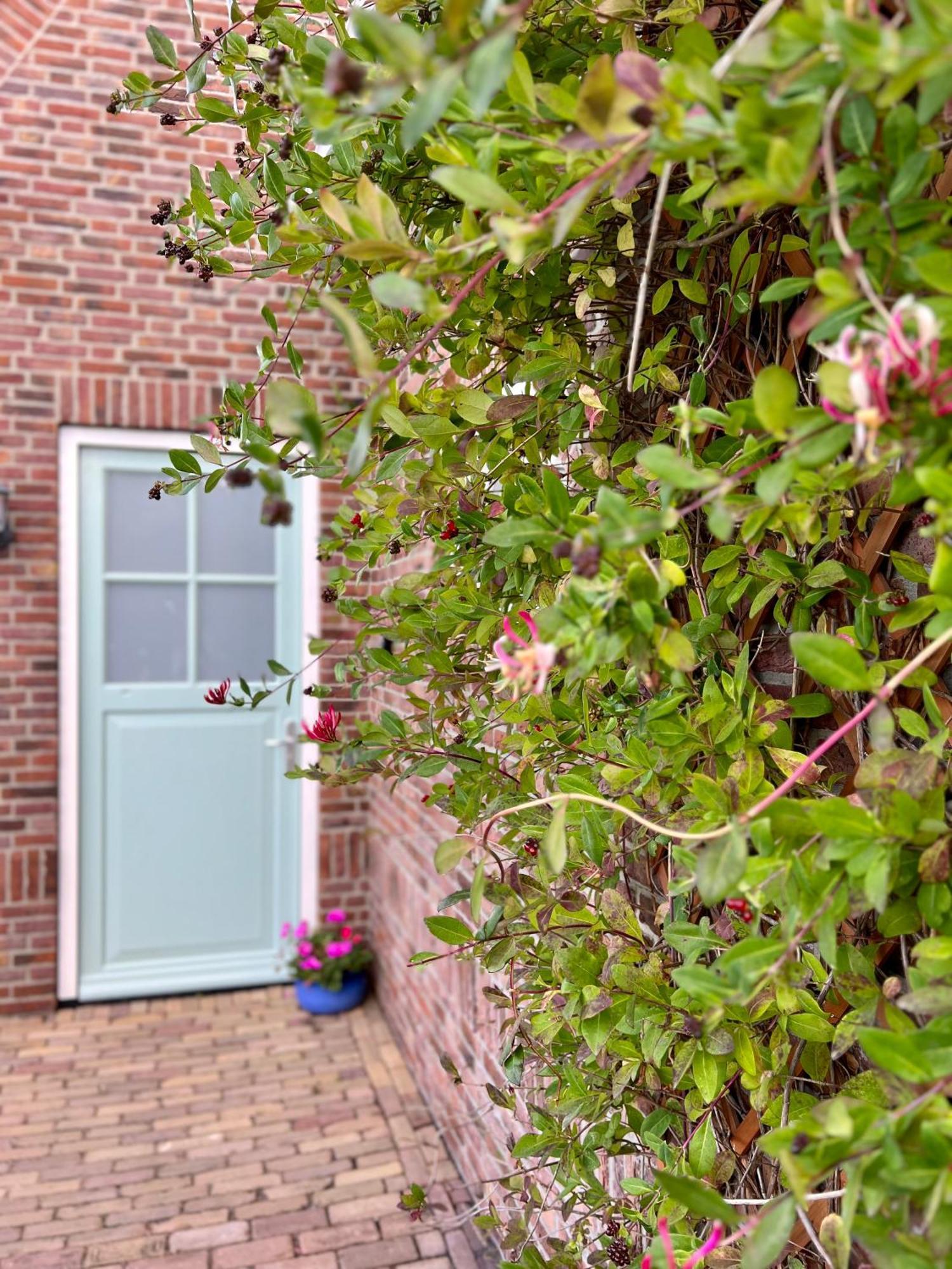 Beach & Forest Retreat -Domburg- Oostkapelle Luaran gambar
